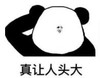 暴漫 熊猫头 真让人头大 搞笑 逗 沙雕