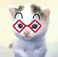 萌宠 猫咪 眼睛 呆萌 可爱