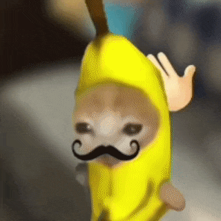 香蕉猫 可爱 搞怪 沙雕