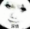 暴漫 熊猫头 深情 搞怪 逗