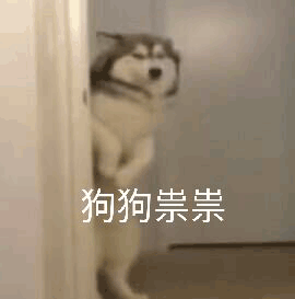 沙雕表情