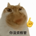 萌寵 貓咪 你沒(méi)資格管 呆萌 可愛(ài)