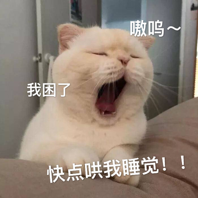 猫咪表情包 犯困图片