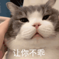 萌宠 猫咪 让你不乖 呆萌 可爱