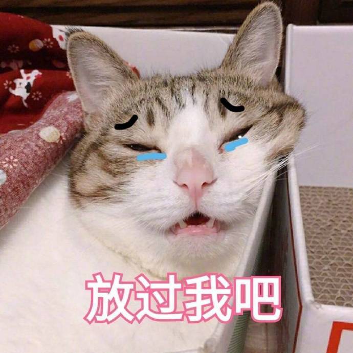 萌宠喵星人放过我吧难受搞怪逗gif动图_动态图_表情包下载_soogif