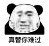 暴漫 熊猫头 真替你难过 伤心 搞怪 逗