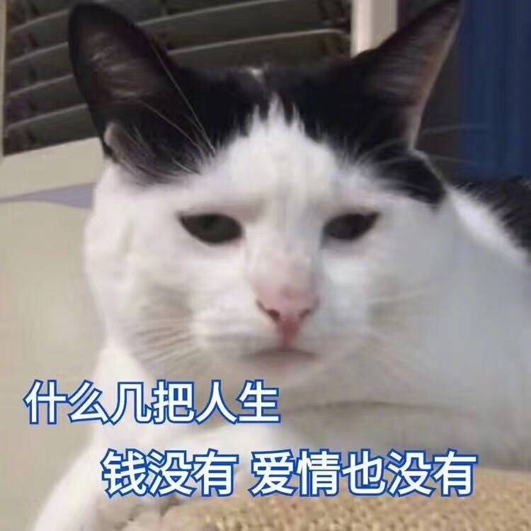 為什麼你會沒錢gif金館長gif熊貓人gif反思gif