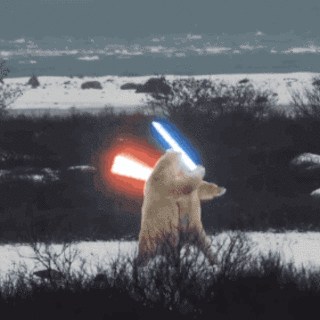 北极熊玩耍荧光棒雪地gif动图