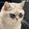 萌宠 猫咪 熬夜 呆萌 可爱
