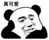 暴漫 熊猫头 真可爱 搞笑 逗 沙雕