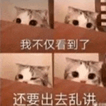 萌宠 猫咪 我不仅看到了还要出去乱讲 呆萌 可爱