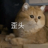 萌寵 貓咪 歪頭 呆萌 可愛