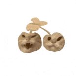 耄耋 猫咪 可爱 搞怪