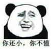 暴漫 熊猫头 你还小你不懂 搞笑 逗 沙雕
