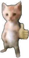 猫猫狗狗 透明底 沙雕 搞笑 逗
