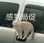 萌宠