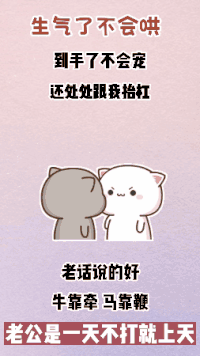 兔子 可爱 情侣 搞笑