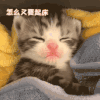 萌宠 猫咪 起床 不是刚睡醒吗 怎么又要起床吗 呆萌 可爱