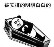 暴漫 文字表情包 被安排的明明白白的 搞笑 逗 沙雕