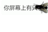 聊天表情 苍蝇 你屏幕上有只苍蝇 搞怪 逗