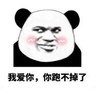 暴漫 熊猫头 我爱你你跑不掉了 搞笑 逗 沙雕