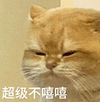 萌宠 猫咪 超级不嘻嘻 呆萌 可爱