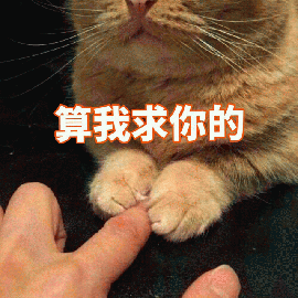 猫咪握手表情包图片