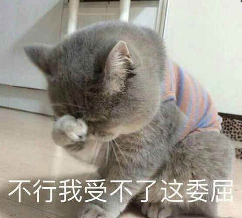 猫咪表情难受图片