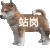 狗狗 站岗小狗 沙雕 搞笑 逗