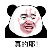 暴漫 熊猫头 真的耶 搞怪 逗