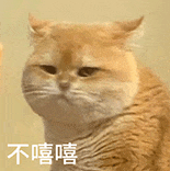 萌寵 貓咪 不嘻嘻 呆萌 可愛