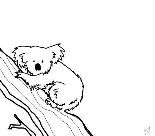 树袋熊爬树简笔画图片