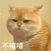 萌宠 猫咪 不嘻嘻 呆萌 可爱