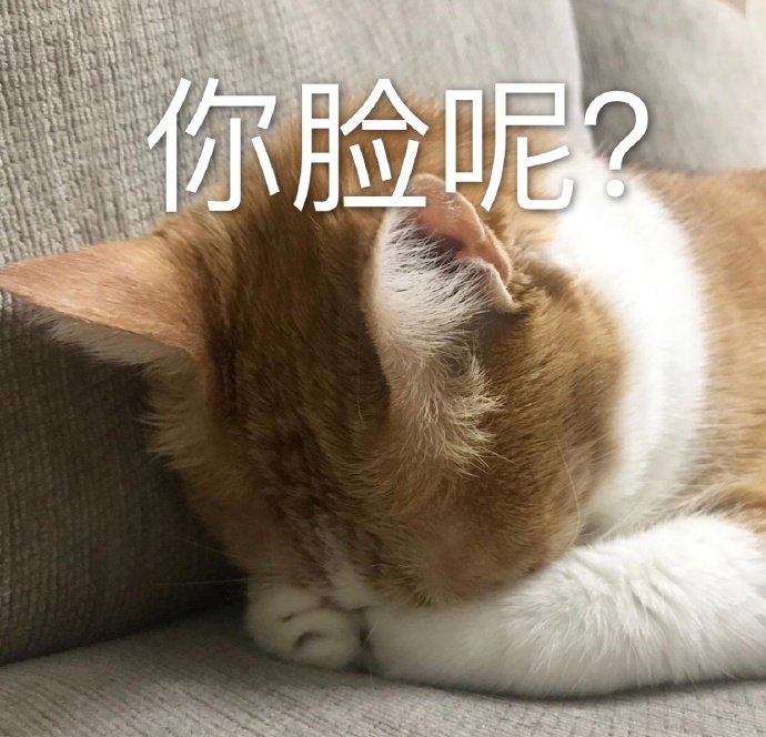 萌宠喵星人你脸呢在哪呢呆萌可爱gif动图_动态图_表情包下载_soogif