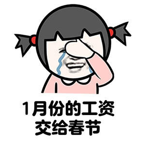 11月份的工资gif交给双12gif斗图gif搞笑gif丸子头gif