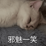 沙雕猫