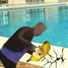 香蕉猫 可爱 搞怪 沙雕