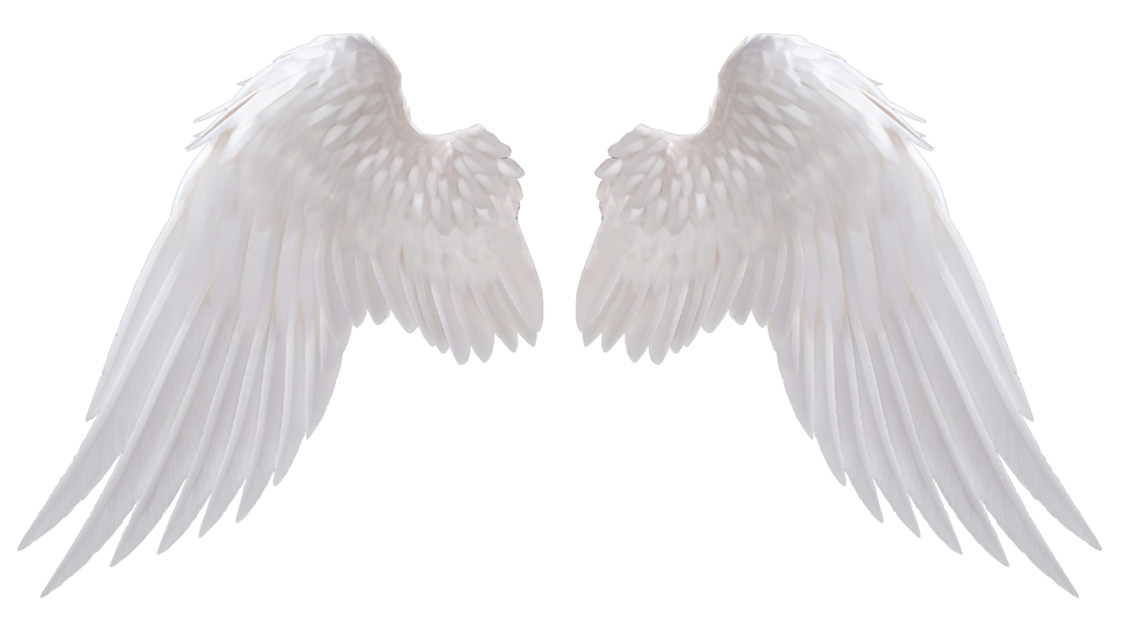 天使翅膀队形图片