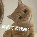 萌寵 貓咪 請問你很拽嗎 呆萌 可愛