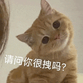 萌宠 猫咪 请问你很拽吗 呆萌 可爱