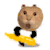 耄耋 猫咪 可爱 搞怪