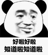 暴漫 熊猫头 好啦 知道啦 搞怪 逗