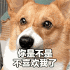 情侣 沙雕 你不喜欢我了 你是不是不喜欢我了