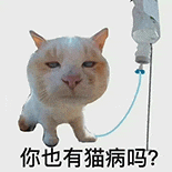 萌寵 貓咪 你也有貓病嗎 呆萌 可愛(ài)