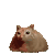 猫meme 猫咪 可爱 搞怪