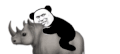 熊猫头 沙雕 骑小动物 搞笑