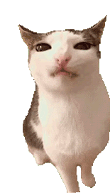 萌宠 猫咪 吃 呆萌 可爱