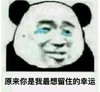 暴漫 文字表情包 原来你是我最想留住的幸运 搞笑 魔性 逗
