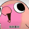 魔性 摇头小鸟 沙雕 搞笑 逗