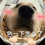 萌宠 狗狗 色一下怎么了 呆萌 可爱
